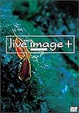live image+ ― 010531 ― [DVD]