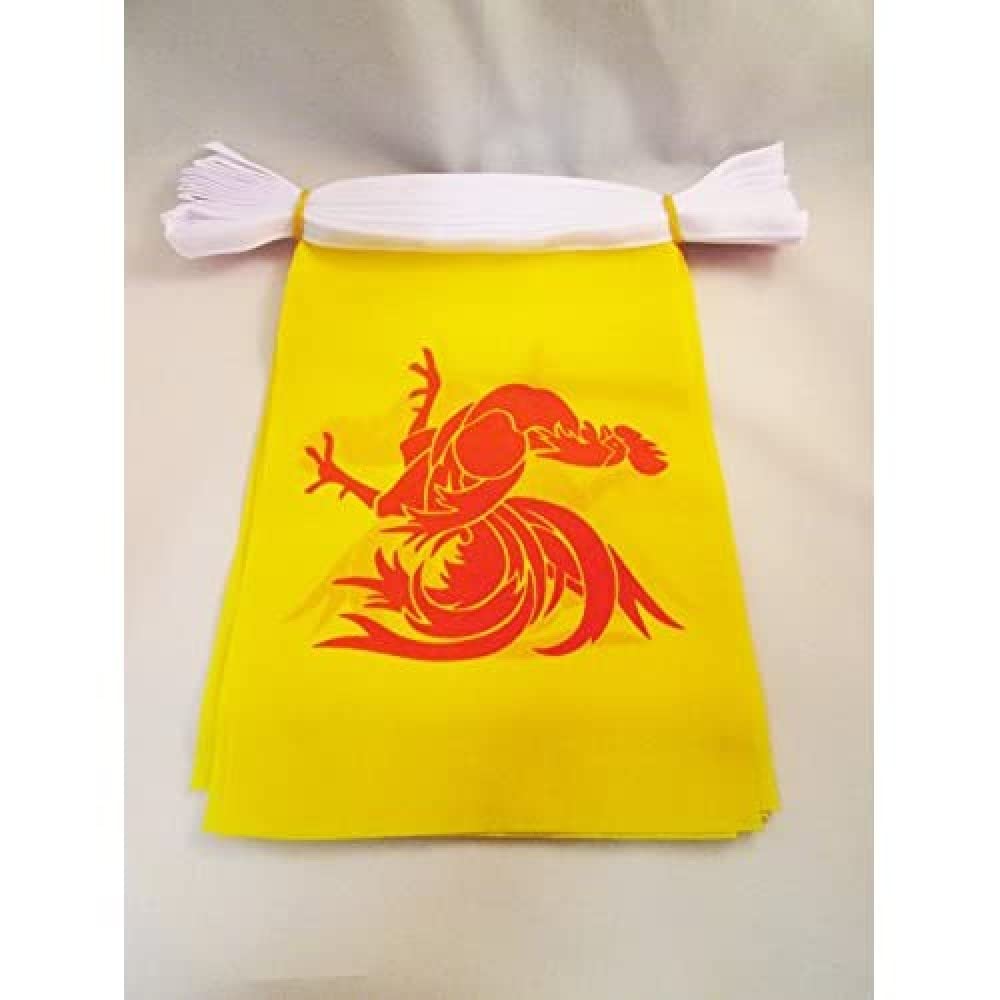 AZ FLAG Wallonia Bunting 20 ft 20 flags Light Polyester