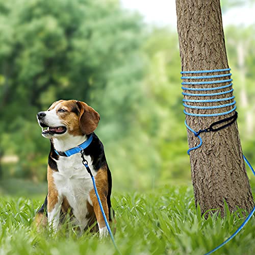 Joytale Reflektierend Schleppleine für Hunde, 15m Hundeleine mit Gepolsterten Griff und 2 Karabinerhaken, Nylon Lange Seil Trainingsleine für Welpen, Kleine Hunde, Blau