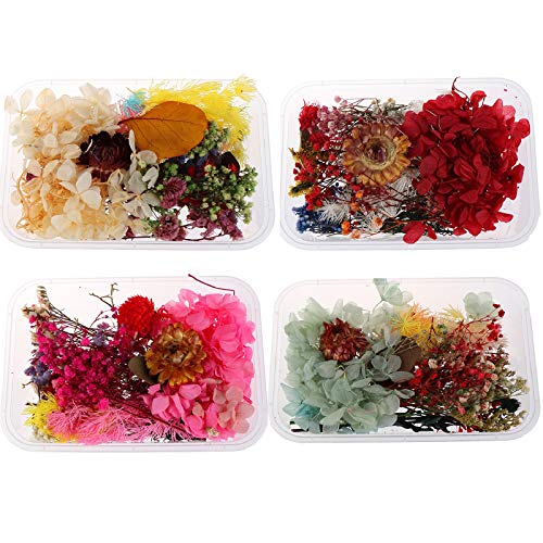 Poluka 4 cajas de flores prensadas secas coloridas para joyería colgante, manualidades, manualidades, álbumes de recortes, decoración de velas
