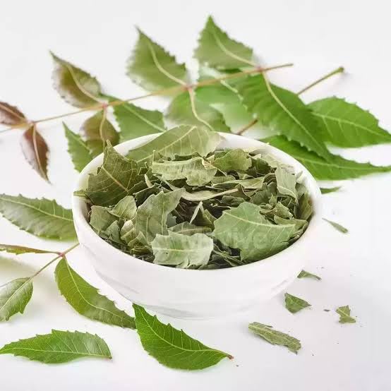 Feuilles de margousier séchées contre les imperfections cutanées et démangeaisons du corps