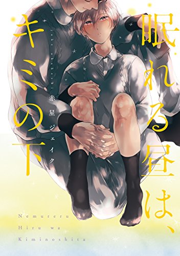 眠れる昼は、キミの下【電子限定特典つき】 (Bs-LOVEY COMICS)