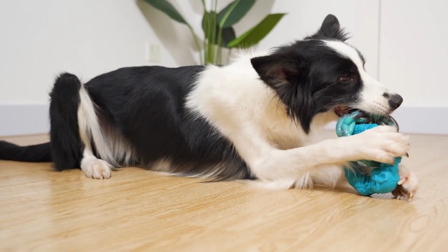 Rmolitty Dog Toys for Aggressive Chewers Large Breed, Indestructible Interactive Tough Dog Chew Toys for Medium Large… - Image 8