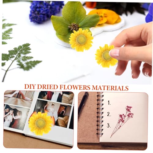 Holibanna 1 Buquê De Flores Secas Porta-retratos Molduras Decoração Presentes O Presente Acessórios