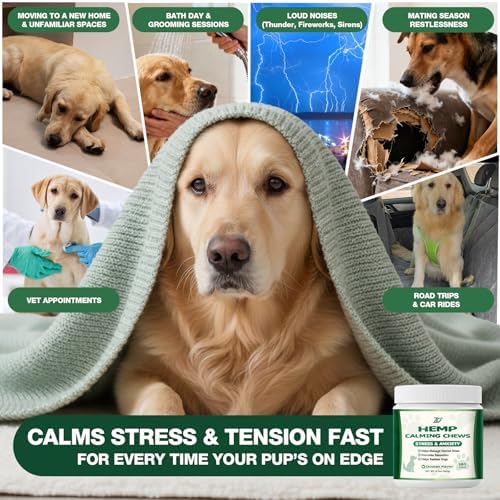 Calming Chews for Dogs - Soft Chews for Anxiety Relief