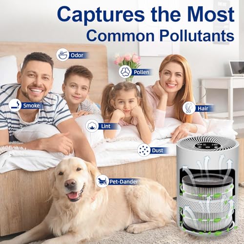 ADDFRESH - Replacement Filter Bundle Compatible with Bissell MYair 2780a 2780 and 27809 Personal Air Purifiers - Compare to My Air Part 2801-3-in-1 HEPA and Activated Carbon Filters (2 Pack)
