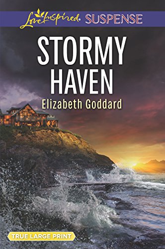 Stormy Haven (Coldwater Bay Intrigue, 2) 1335459316 Book Cover
