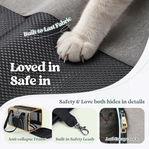 Image of rabbitgoo Cat Carrier Soft with Safety Buckles, Sturdy Comfortable Pet Bag