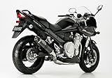 SHARK Street GP Slip on Ersatzdämpfer (4-1) kompatibel mit SUZUKI GSF 600 Bandit S GN77B 600 ccm Bj. 1996-1999