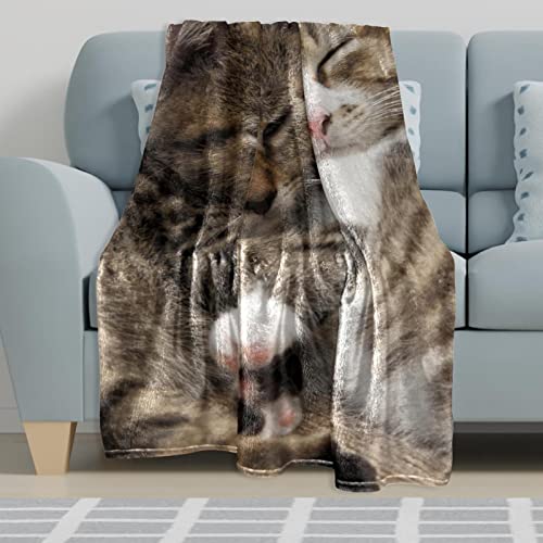 Couvertures en microfibre TBOUOBT plaid peluche lit canapé chats