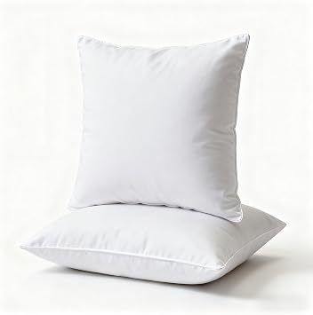 BCWW 18x18 Pillow Inserts Set of 2, Soft Fluffy Square 18x18 Inch Decorative Throw Pillow Insert for Couch Bed Dorm Sofa, Machine Washable