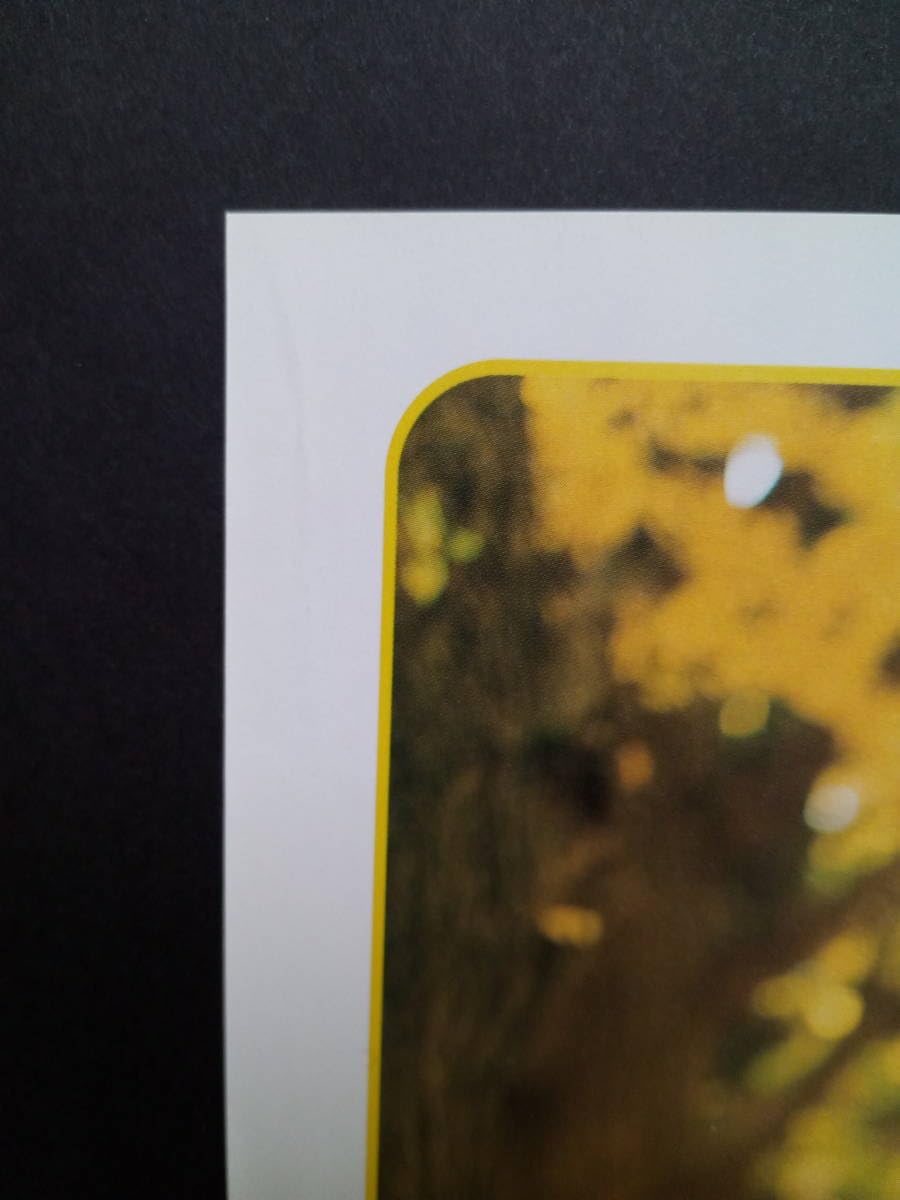 Amazon.co.jp: aiko & 蒼井優 タワレコ広告 簡単！額縁に入れるだけ