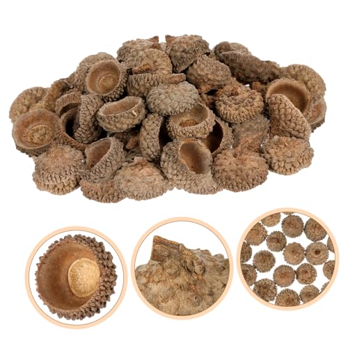 Set de 50 piezas de decoraciones de cáscara de bellota natural miniatura 3