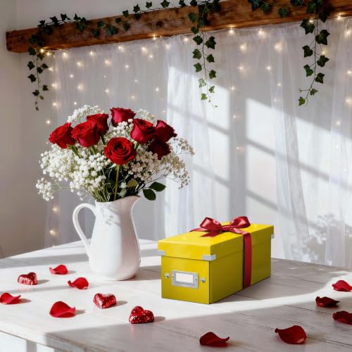 Leitz Click & Store WOW schmale Aufbewahrungsbox mit Deckel, Box zur CD Aufbewahrung… – Ansicht 2