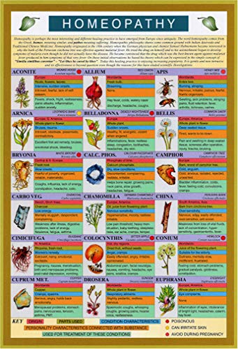 Natures Energies Homeopathy Reference Guide Mini Chart Poster 9 x 6