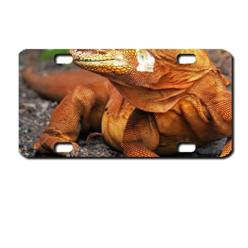 Komodo Dragon Mini License Plate motorcycles, ATVs, bicycles and kiddie cars. Great Gift Idea