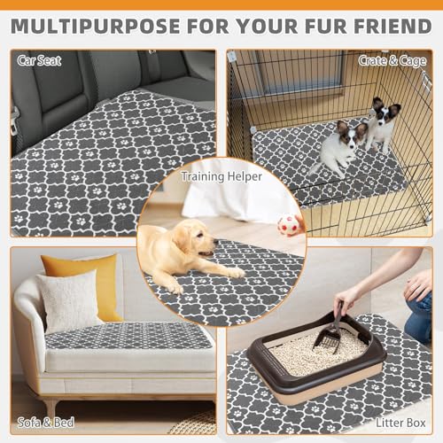 Image of KOOLTAIL Washable Pee Pads for Dogs, 4 Packs Super Absorbent Leakproof & Non-Slip Dog Pee Pad Large, Reusable Puppy Training Pads Waterproof, Pet Mat Rug for Whelping,Floor,Crate, Car, Cats, 24 inchx36 inch
