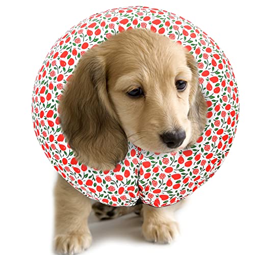 Image of Protective Inflatable Collar for Dogs and Cats - Soft Pet Recovery Collar Does Not Block Vision, Prevents Pets from Touching Stitches, Wounds and Rashes (Floral - 1, Neck 6 inch - 8 inch)