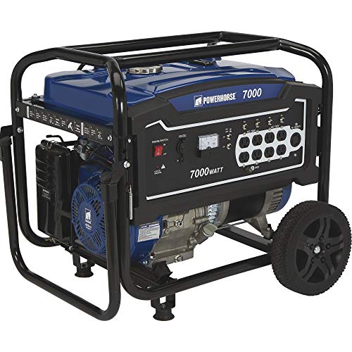 Powerhorse Portable Generator - 7000 Surge Watts, 5500 Rated Watts