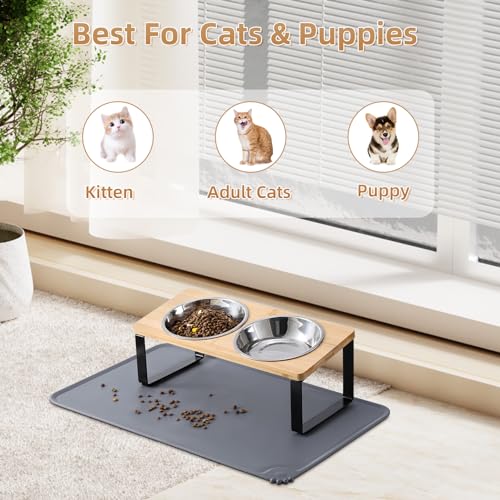 image for Summark Upgraded Elevated Cat Bowls with Food Mat,15°Tilted Stand Ant