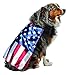 Rasta Imposta USA Flag Cape for Dogs, Large