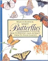 Butterflies: How to Identify and Attract Them to Your Garden