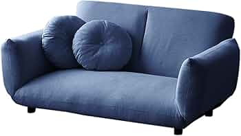 511H1OIXWML._AC_UF350,