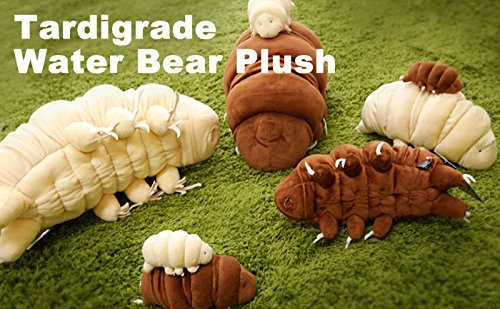 Sea Creature Tardigrade Water Bear Plush (L Size/ 30 Cm/Ramazzottius/Brown) #TOP7