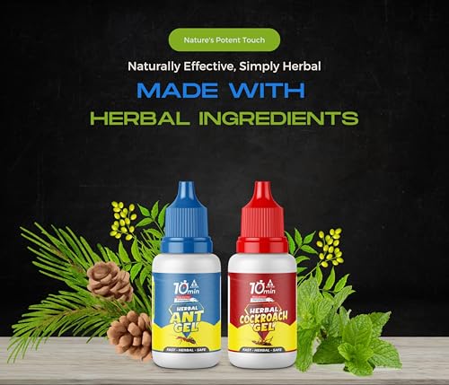 Image of Amish Combo Pack of Eco- Friendly Ant Gel 20g with Amish-C Cockroach Gel 20g for Home Kitchen Ants & Cockroach | Instant Results for Insect Control