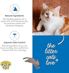 Dr. Elsey's Ultra UnScented Clumping Clay Cat Litter 40 lb. Bag — photo 4 of 6