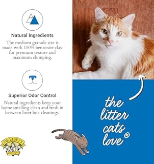 Dr. Elsey's Ultra UnScented Clumping Clay Cat Litter 40 lb. Bag