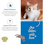Dr. Elsey's Ultra UnScented Clumping Clay Cat Litter 40 lb. Bag - Image 4