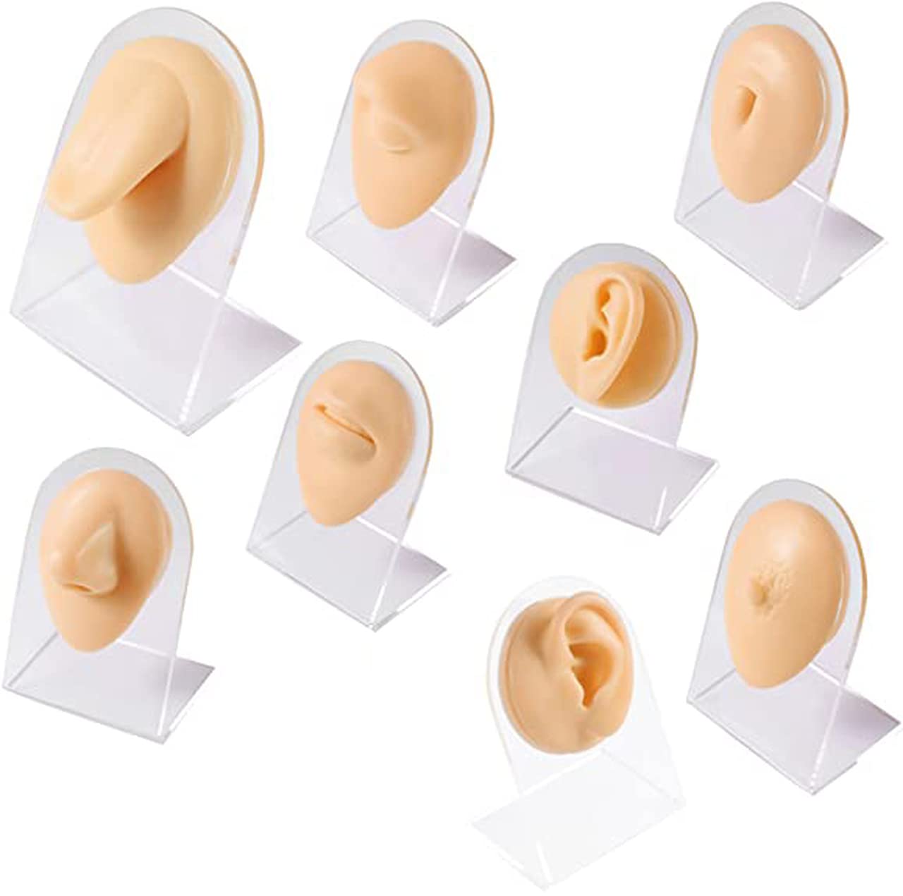 Soft Silicone Flexible Model Body Part Displays Set for Piercings Human Model Simulation Set for Jewelry Display Plastic Holder Included - Sold Individually