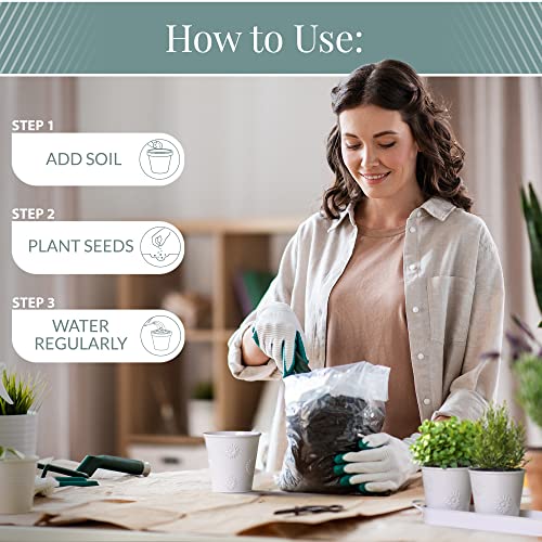 Barnyard Designs Farmhouse Herb Garden Planter Indoor Planter Set With Tray Outdoor Apartment Window Planter Box, Windowsill Planter Box, Indoor Herb Planter Garden Pots Herb Pots, White, Set/3 #TOP7