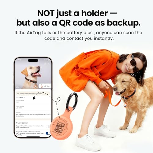 Collier chien cuir AirTag réglable personnalisé avec code QR anti-perte pour petit chien