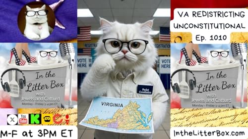 VA REDISTRICTING UNCONSTITUTIONAL | In the Litter Box w/ Jewels Jones & Catturd &ndash; Ep. 1010 4/23/2026