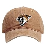 R and R Imports Vermont Catamounts Officially Licensed Dad Hat - Unisex Baseball Cap Colorful Logo Coffee