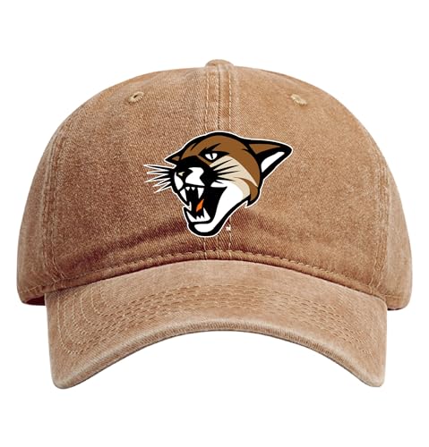 R and R Imports Vermont Catamounts Officially Licensed Dad Hat - Unisex Baseball Cap Colorful Logo Coffee