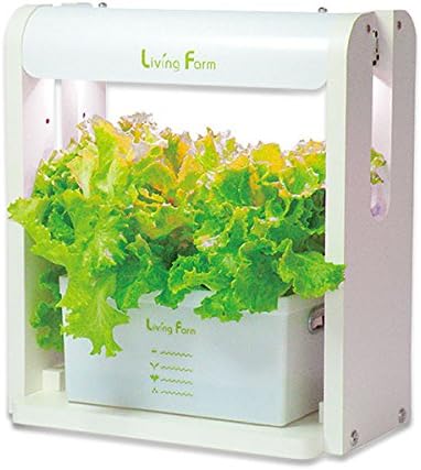 Amazon リビングファーム 水耕栽培器キット ココベジth 高輝度白色系led付き リーフレタス種付き 室内 栽培キット 栽培キット オンライン通販
