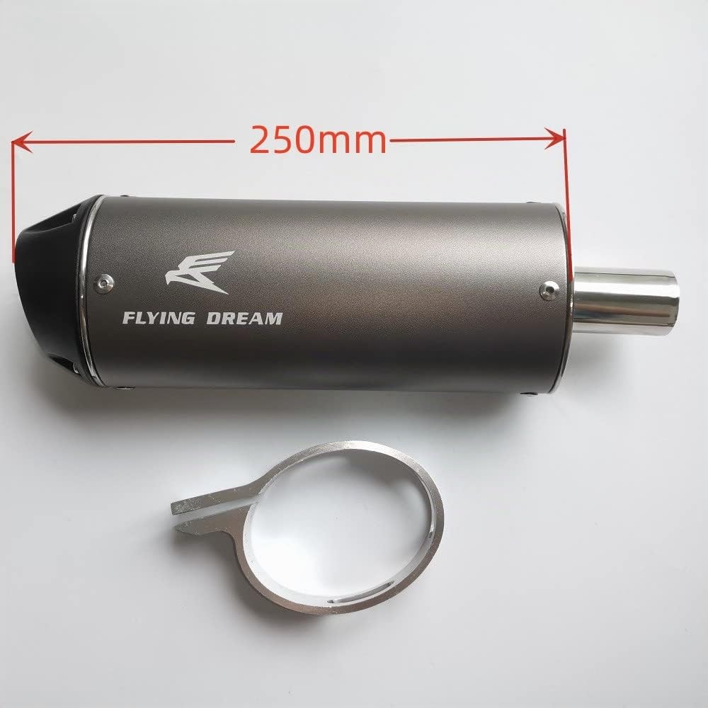 Dreammotion Silenciador de escape reductor de ruido para motocicleta 28mm/1.1'' 38mm/1.5'' para moto de tierra, pit bike, ATV, motocicleta Apollo Honda Yamaha 125cc 140cc 150cc 160cc 190cc (28mm)