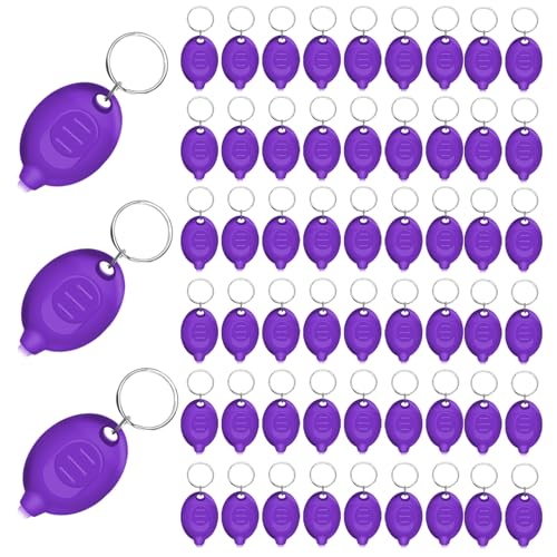 Mini porte-clés UV lot de 48 lampes de poche lumière noire portable pour scorpions