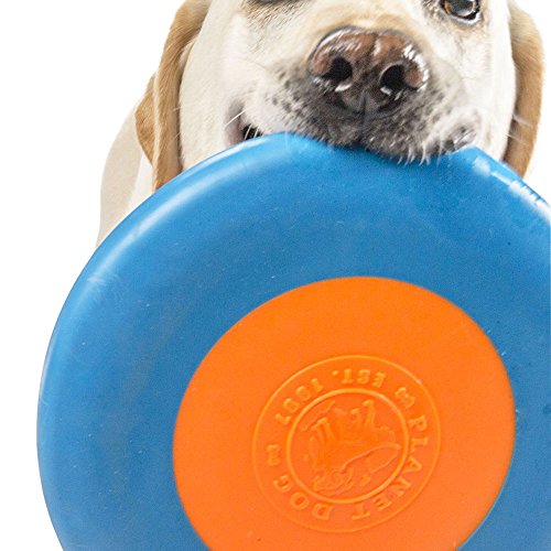 Planet Dog Orbee-Tuff Zoom Flyer Disc Blue/Orange Dog Fetch Toy, Large #TOP7