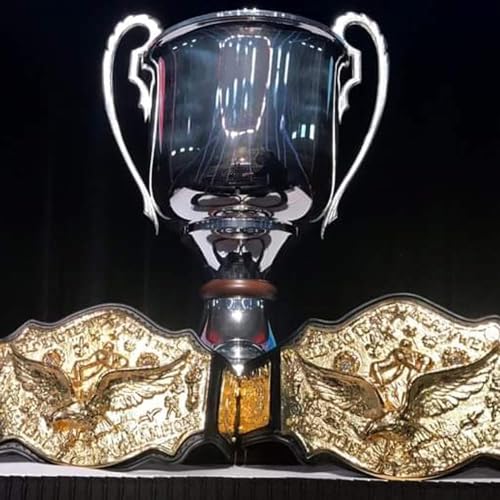 The Wrestling Fans (Trailer)