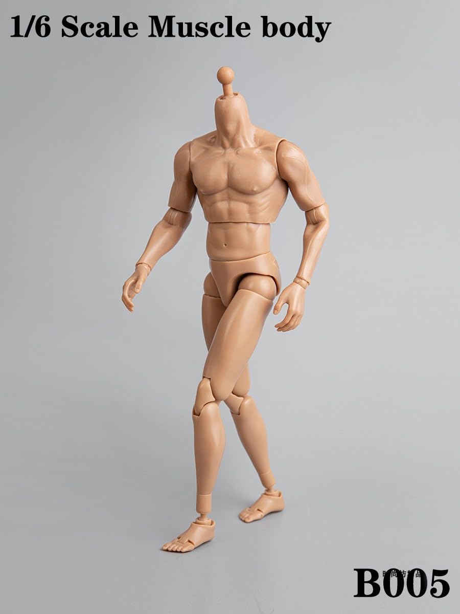 1/6 Scale Male Accessories Muscle Body for 12 inch kung fu Movie Star Action Figure Dessin Doll,ZYTOYS B005