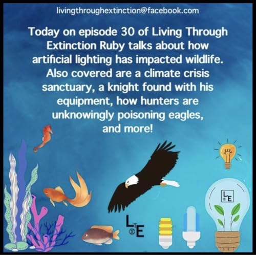 30 - North American Toxic Individualism cover art