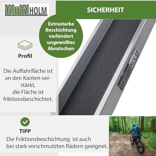 TRUTZHOLM 1 x Alu Auffahrschiene 194 cm 50 kg Alu grau Anti-Rutsch Beschichtung E-Bike Mofa Fahrradrampe für Treppe