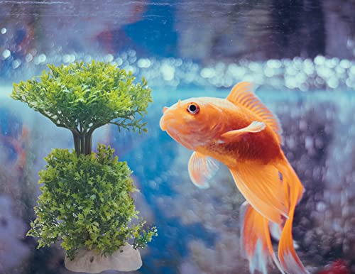 JAINSONS PET PRODUCTS Artificial Aquarium Decoration Plant for Fish Tank Also Use for Home Decoration,Create Miniature and DIY Project (Height-10.5 inch) (B07Z6FCH9P) Amazon Price History, Amazon Price Tracker