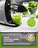 AMZCHEF Juicer Machines - Cold Press Slow Juicer - Masticating Juicer for Whole Fruits and Vegetables - Delicate Chew No Need to Filter - BPA Free Juice Extractor with 2 Cups and Brush - Cold Grey