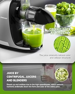 AMZCHEF Juicer Machines - Cold Press Slow Juicer - Masticating Juicer for Whole Fruits and Vegetables - Delicate Chew No Need to Filter - BPA Free Juice Extractor with 2 Cups and Brush - Cold Grey