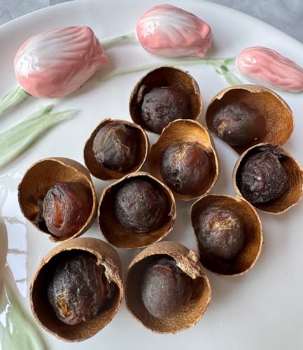 Dried Longan,Fruit with Shell -10.58oz/300g-Pure Natural Chinese Herbal Medicine LongYan-桂圆干- For Tea.Soup Ingredients.Natural Snack(dried longan)